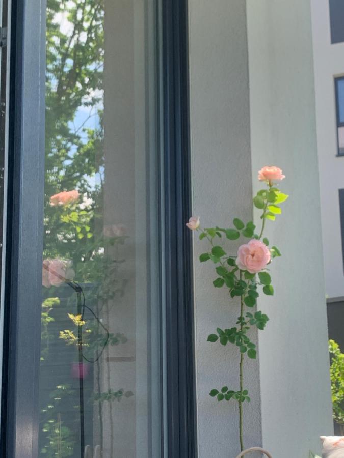 Garden Apartment Self Check-In - Bezkluczowy Dostep W 10 Minut O Kazdej Porze Kraków Exteriör bild