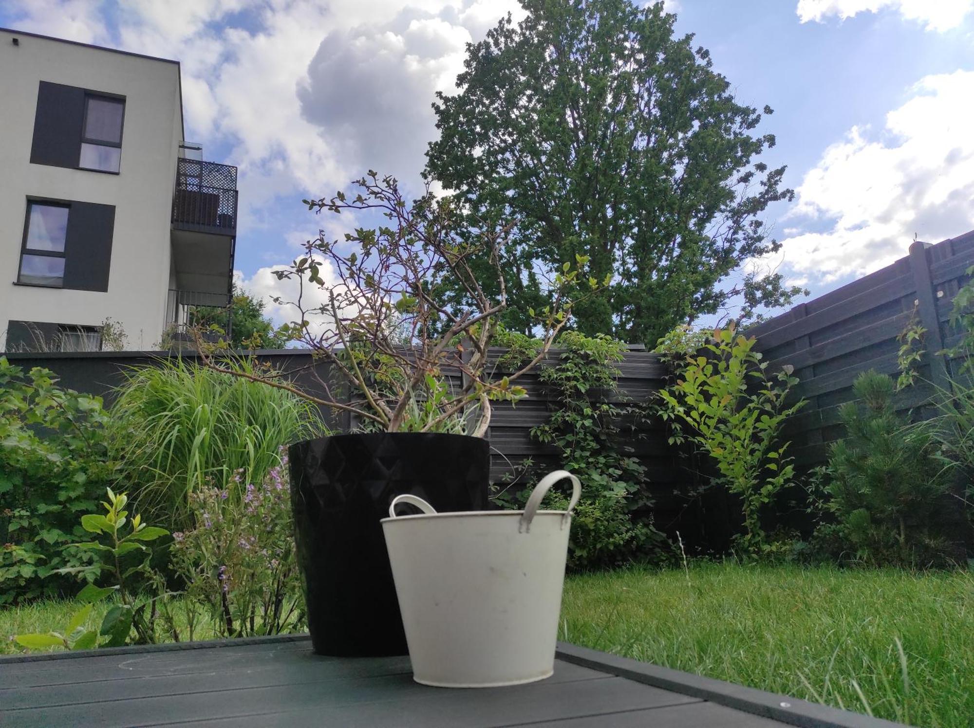 Garden Apartment Self Check-In - Bezkluczowy Dostep W 10 Minut O Kazdej Porze Kraków Exteriör bild